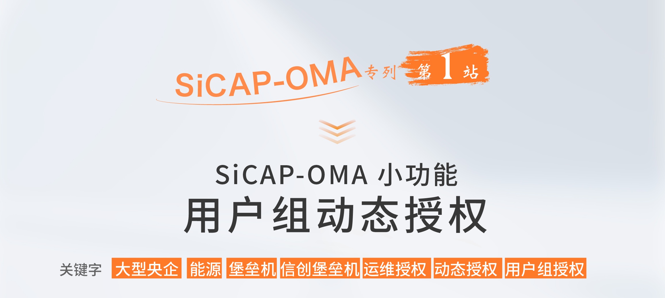 SiCAP-OMA小(xiǎo)功能(néng)：用(yòng)戶組動态授權